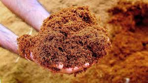 Cocopeat